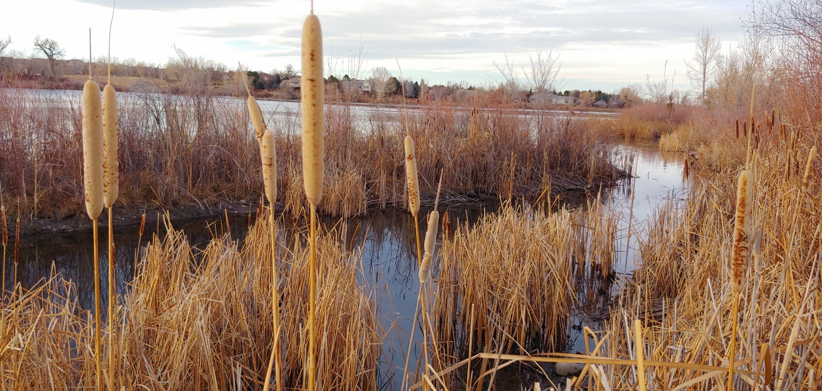 South Platte Reservoir in Littleton, CO